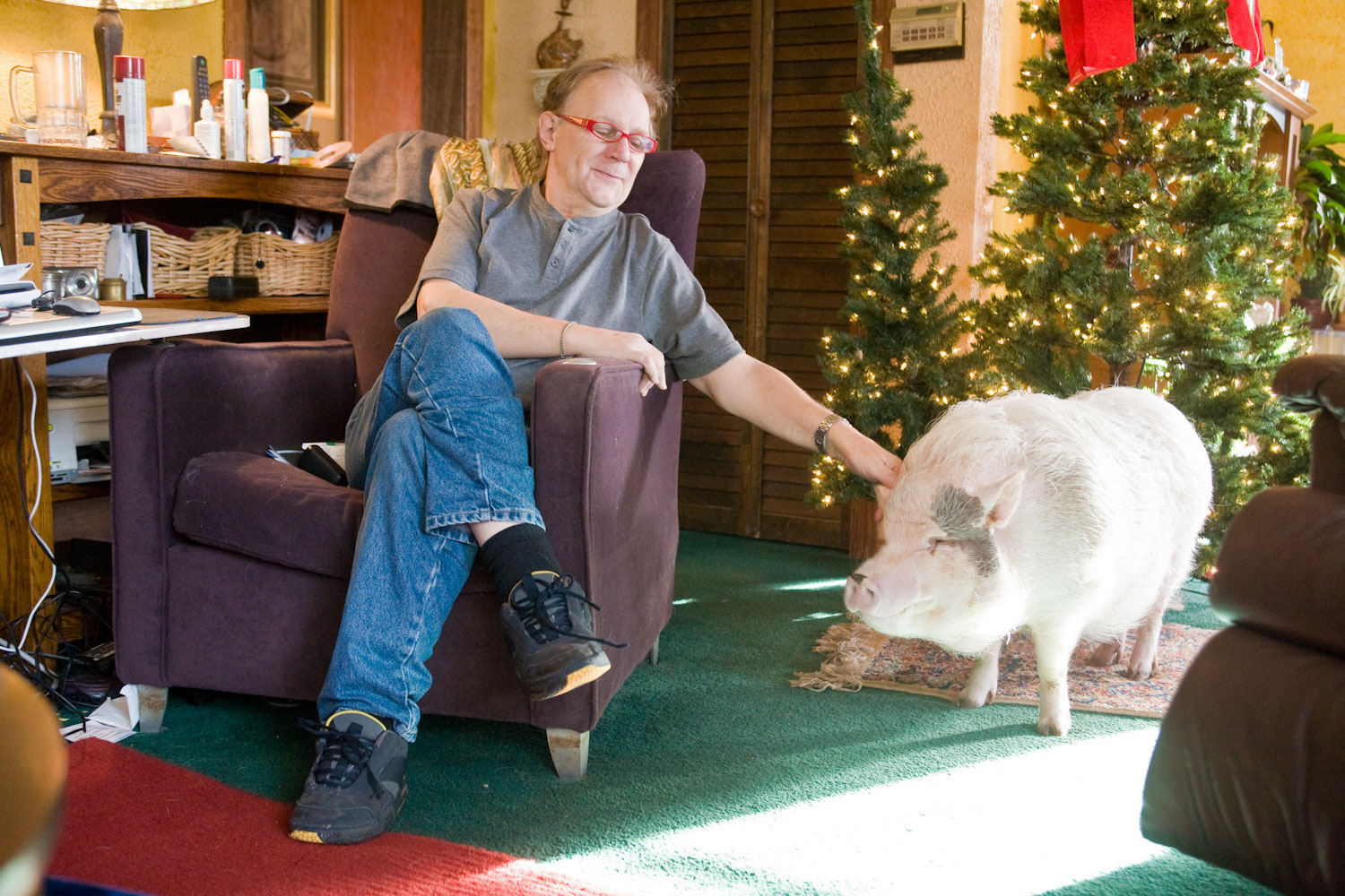 Martin Kasper and his pet pig Buddy Moon resting at home